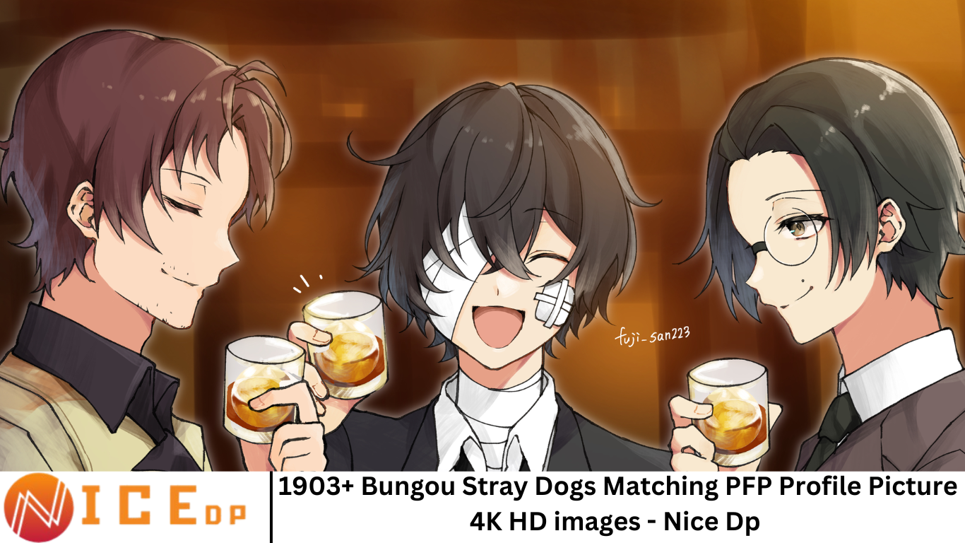 1903+ Bungou Stray Dogs Matching PFP Profile Picture 4K HD images - Nice Dp