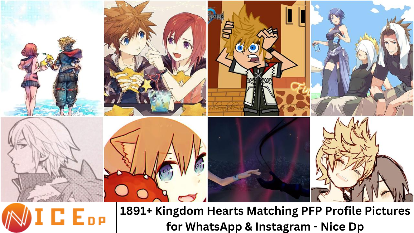 1891+ Kingdom Hearts Matching PFP Profile Pictures for WhatsApp & Instagram - Nice Dp